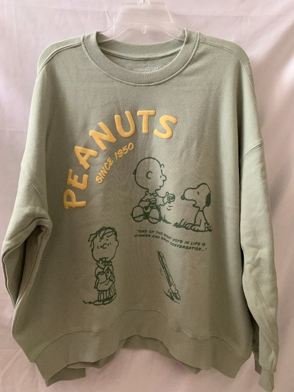 PEANUTS Snoopy & the Gang Crew Neck Sweater in Seafoam Green Sz LARGE